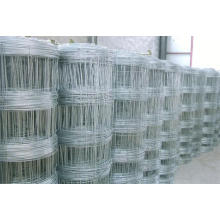 Hot Dipped Galvanized Goat and Sheep Fence/Grass Field Fence